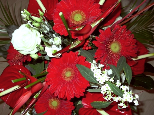 Die "Alpha-Blumen" ...