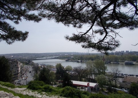 belgrad_web_10